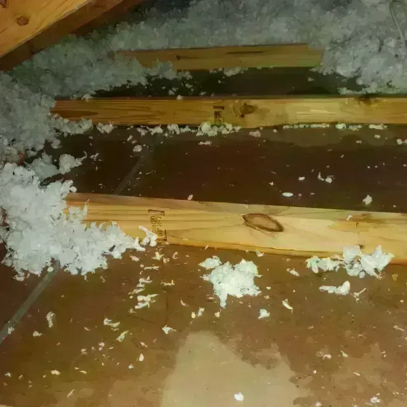 Attic Water Damage in Houlton, ME